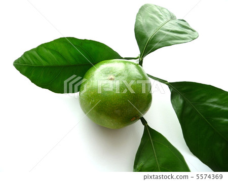 藍色的橘子 藍色的橘子 5574369