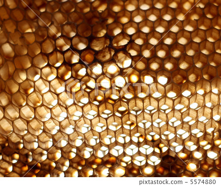honeycomb background honeycomb background 5574880