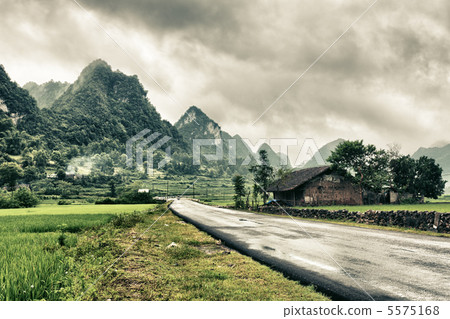 Rural landscape 5575168
