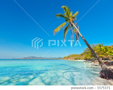 Tropical beach Malcapuya Tropical beach Malcapuya 5575371