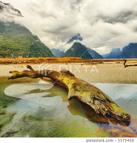 Milford sound Milford sound 5575458