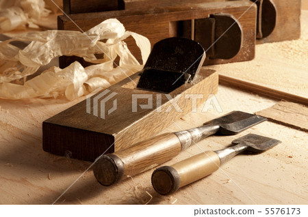 美人蕉刨鑿子 5576173