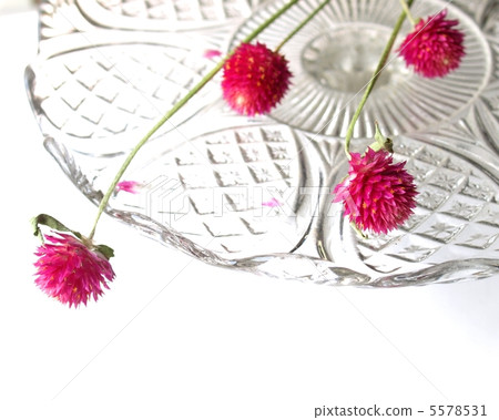 Sennichiko dried flower interior 5578531