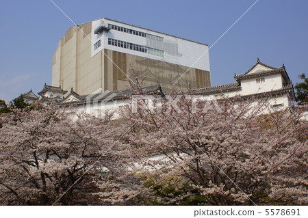 Himeji Castle (Shirasagi in the sky) Himeji Castle (Shirasagi in the sky) 5578691