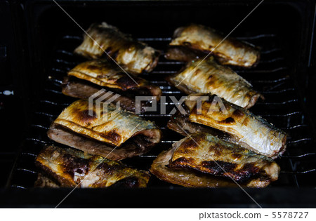 太平洋秋刀魚04 太平洋秋刀魚04 5578727