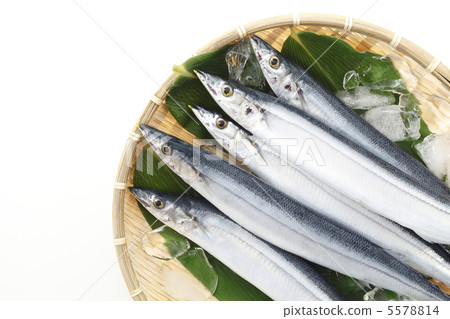 新SANMA配甜酒 新SANMA配甜酒 5578814