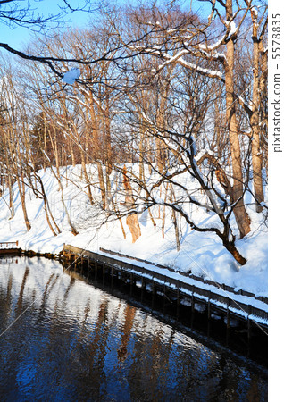 安靜的池塘 5578835