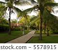 Resort 5578915