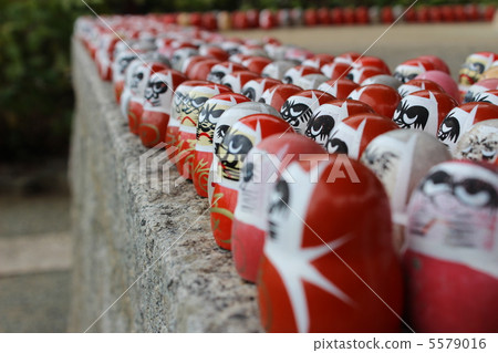 Dharma Dharma 5579016