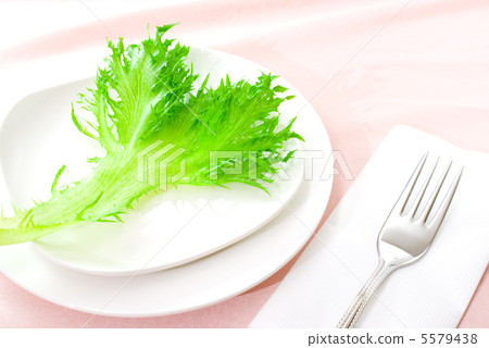Vegetable Frill Lettuce Vegetable Frill Lettuce 5579438