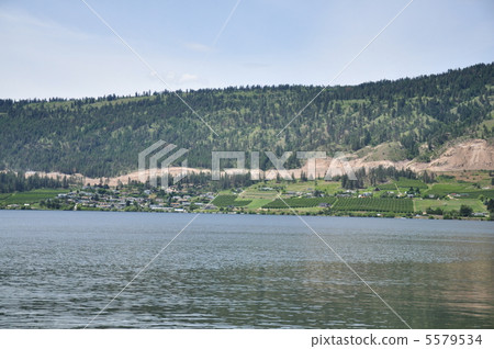 沿湖的水果田 5579534