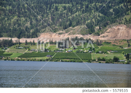 沿湖的領域 5579535