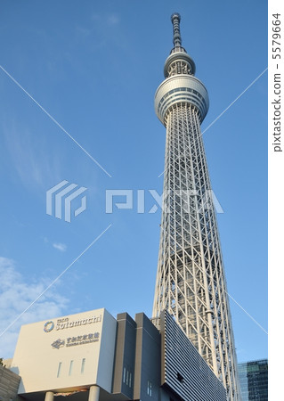 東京天空樹 東京天空樹 5579664