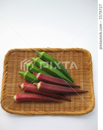 Red okra Red okra 5579727