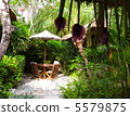 Resort 5579875