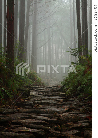 Magogyo pass in the fog 5582404