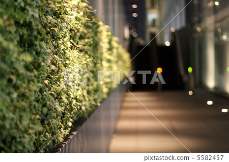 Green in the city Green in the city 5582457