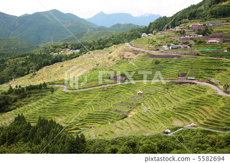 Maruyama Senjita from the Observatory 5582694
