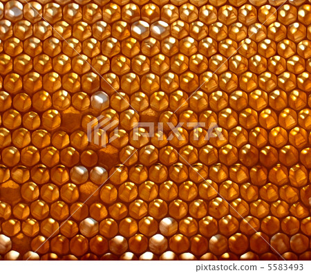 honeycomb background 5583493