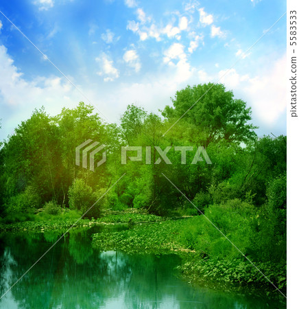 beautiful landscape 5583533