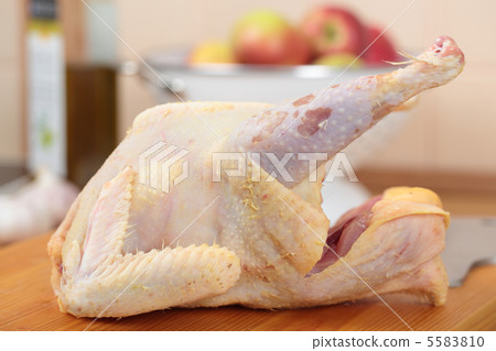 Raw poularde 5583810