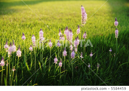 九月Turbo Yuri 82 九月Turbo Yuri 82 5584459