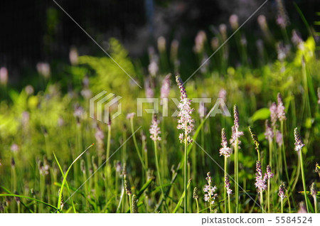 9月Turbo尤里61 9月Turbo尤里61 5584524