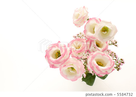 Arrangement of Turkey 5584732