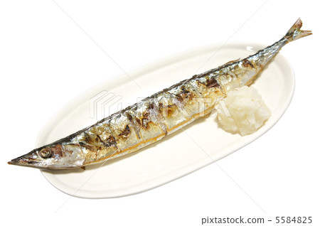 秋刀魚 5584825