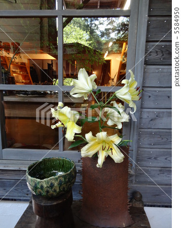 Yuri Ikebana 5584950