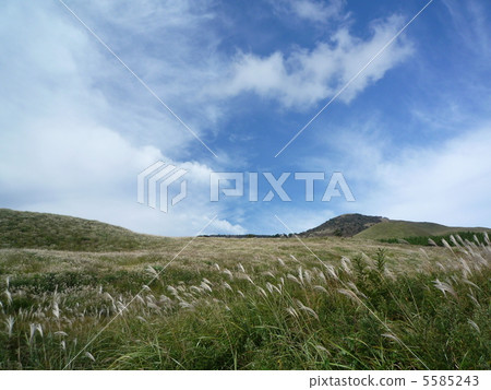 Susukino Field of Hosono Takahara Susukino Field of Hosono Takahara 5585243