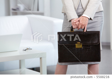 Businesswoman holding briefcase Businesswoman holding briefcase 5588216