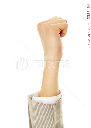 Fist 5588464