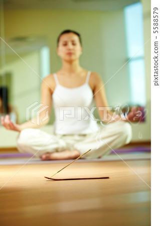 Smoking aroma stick 5588579