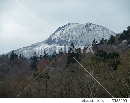 Furano Nishidake 5588993