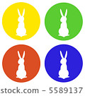 兔子在圈白布 5589137
