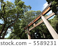 Torii 5589231
