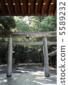 Torii 5589232