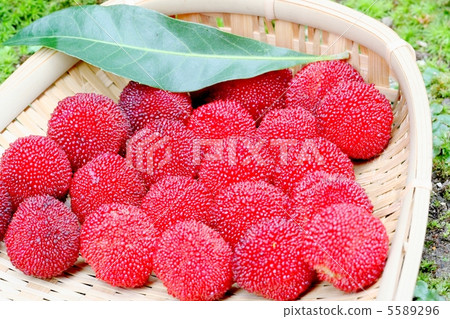 A true red fruit, also called fire, yamamomo A true red fruit, also called fire, yamamomo 5589296