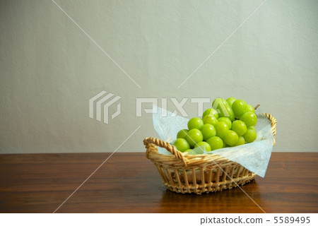 Muscat basket height 5589495