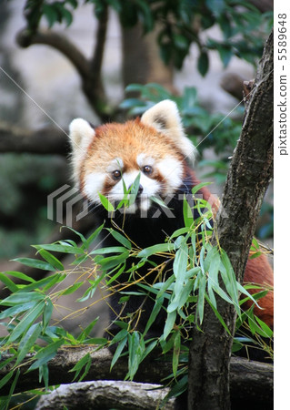 你好 你好 5589648