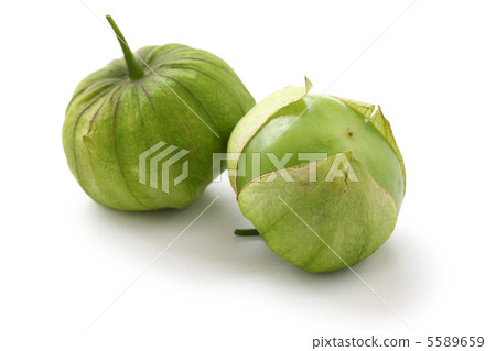 Tomatillo 5589659
