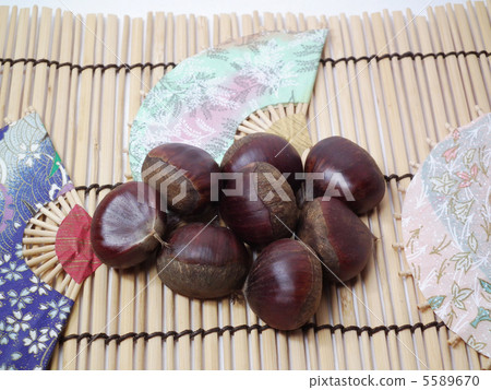 栗子 栗子 5589670