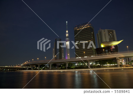 天空樹 天空樹 5589841