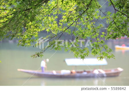 夏季京都 夏季京都 5589842