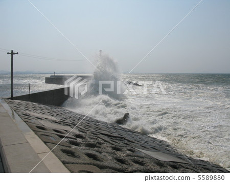 Rough sea Rough sea 5589880