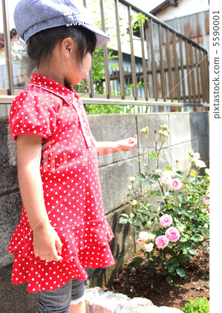 garden-making, girl, females 5590001