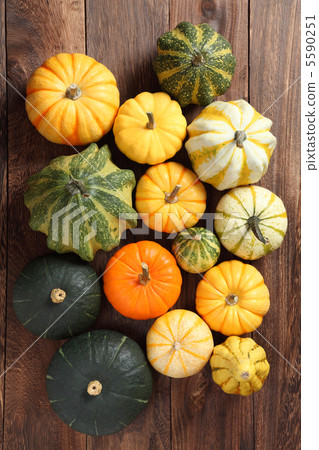 Pumpkin collection Pumpkin collection 5590251