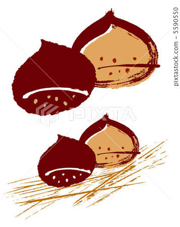 Two chestnuts - Stock Illustration [5590550] - PIXTA