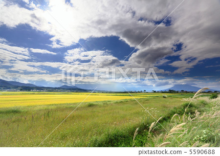 From summer to autumn 5590688